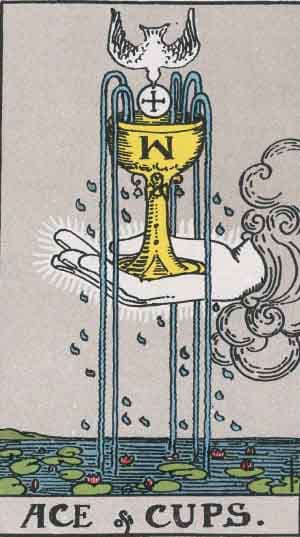 Ace of Cups tarot card